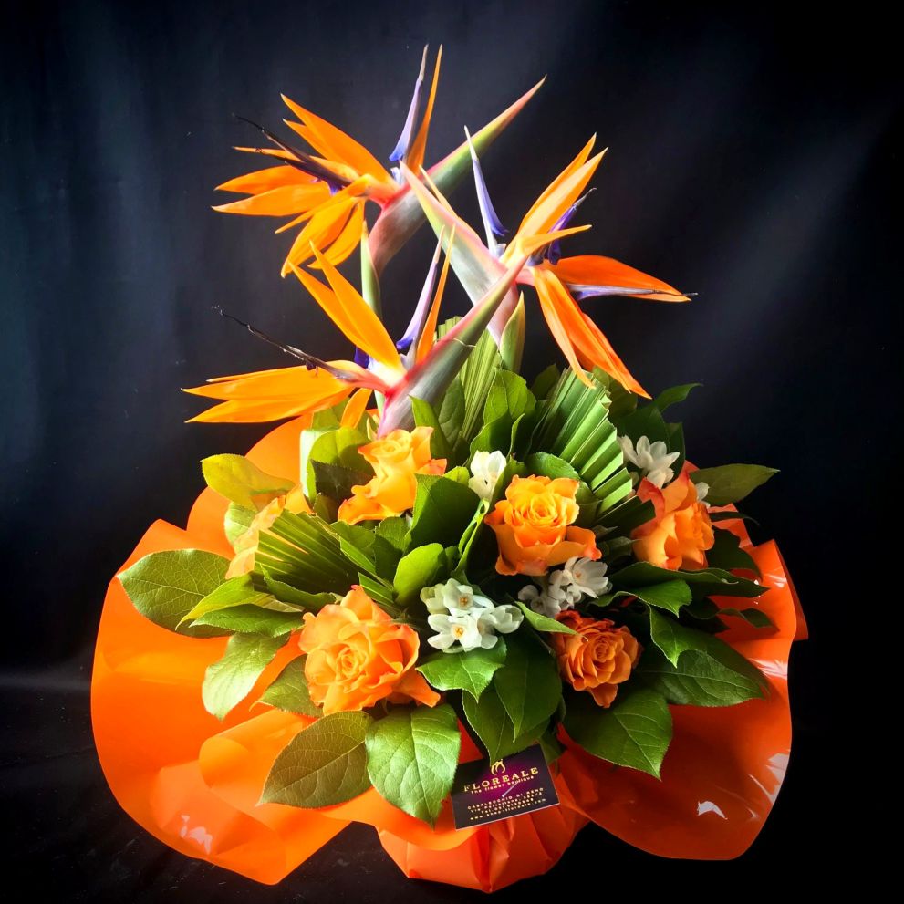 Bouquet Strelizia