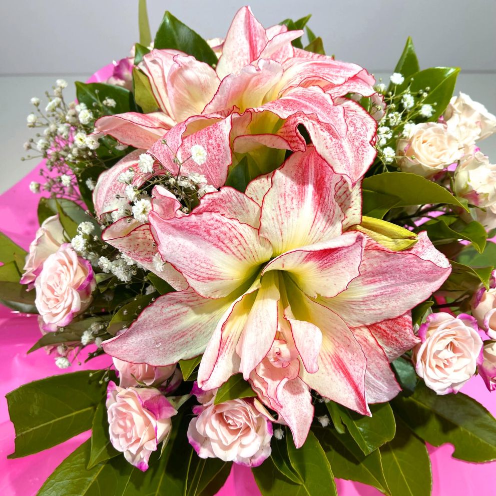 Bouquet Amaryllis
